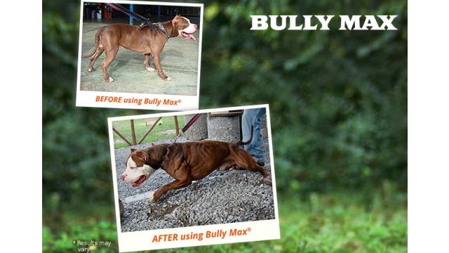 Bully Max Dog Food &amp; Supplements by Gowebbaby, LLC