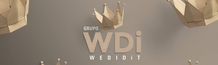 Grupo WDi cover picture