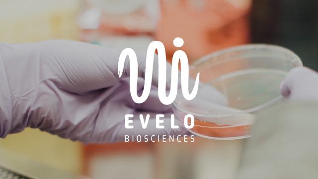 Evelo Biosciences Branding by Jacknife