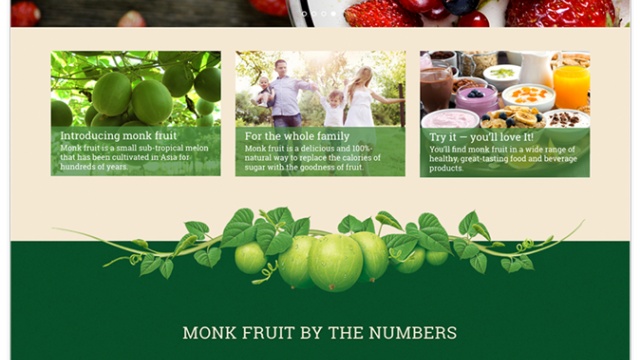 Monk Fruit by JB Chicago