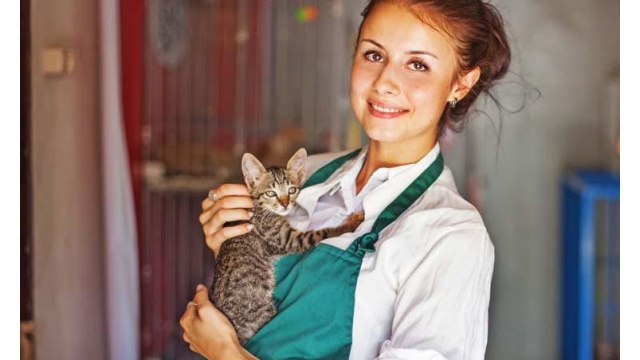 Bel Rea Veterinary Technicians by SmartClick Advertising
