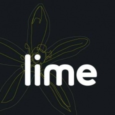 Lime Advertising UK profile