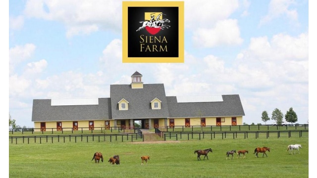 Siena Farm Campaign by Socially Smitten