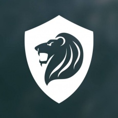 Lion Fuse Digital Media profile