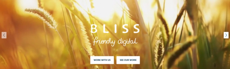 BLISS cover picture