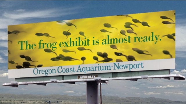 Oregon Coast Aquarium by Nonbox