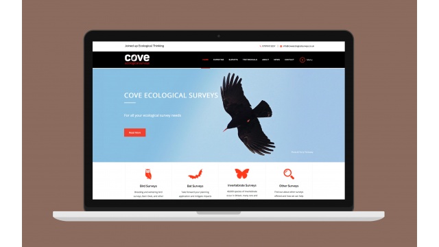 COVE ECOLOGY by Nectar Creative