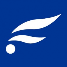 The Fearey Group profile