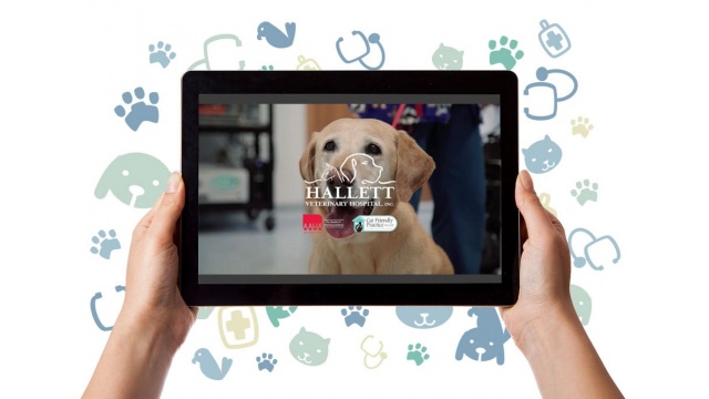 Hallet Veterinary Hospital and Clinic Videos by Ocreative