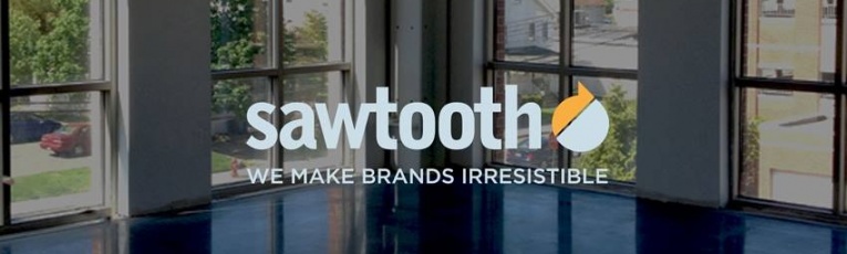 The Sawtooth Group cover picture