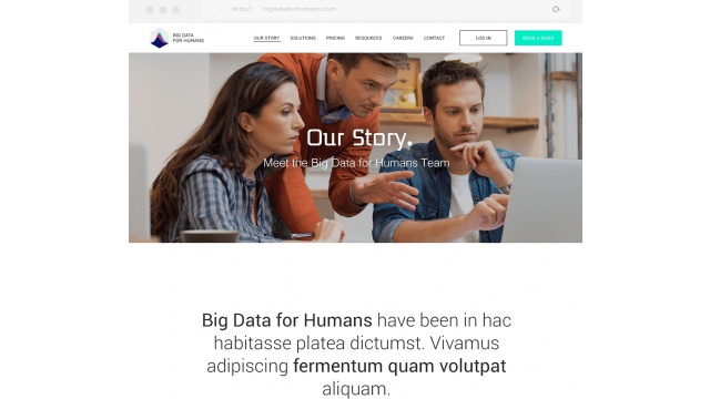 Big Data Website Ux and Design by WAI