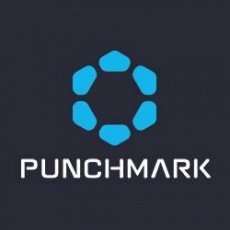 Punchmark profile