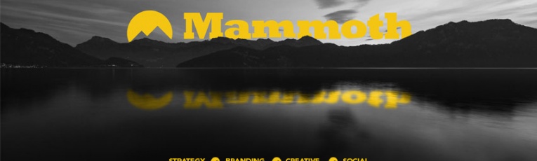 Mammoth Marketing cover picture