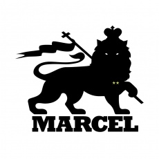Marcel Worldwide profile