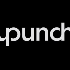 Punch profile