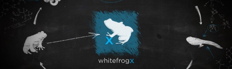 Whitefrog Design cover picture