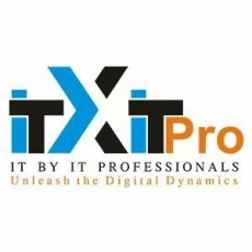 IT by IT Professionals (ITxIT Pro) profile