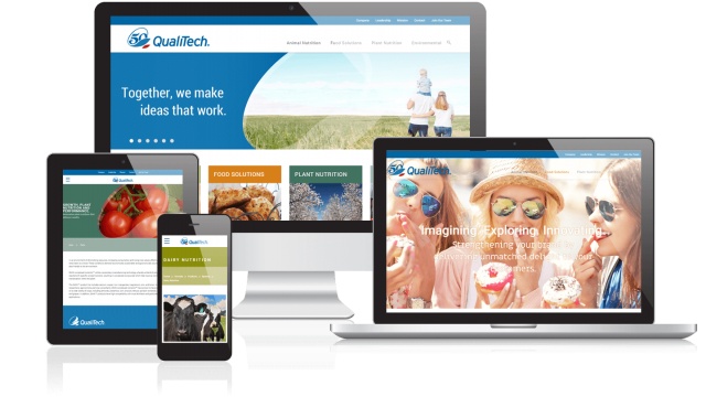 QualiTech Web Design Campaign by Wooly Mammoth Design