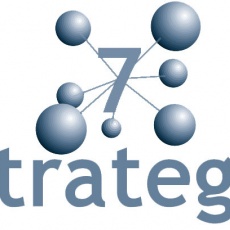 7strategy profile